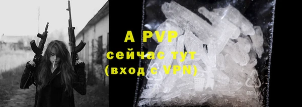 индика Баксан