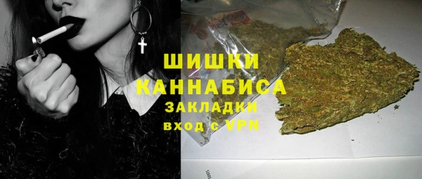индика Баксан