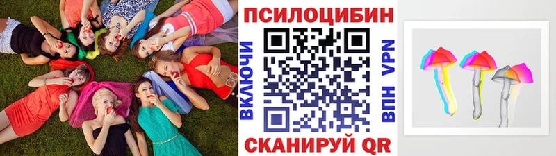 Псилоцибиновые грибы Cubensis  Буинск 
